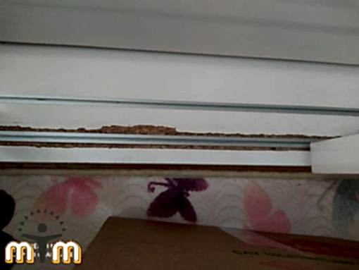 Arnavutköy Taşoluk Mahallesi Mobilya Tamir Servis Mobilya tamir servisi olarak Taşoluk mahallesi mobilya tamiri konusunda hizmet veriyoruz. Mobilyalar yapısı gereği ahşaptan imal olması nedeniyle kolay hasar alabiliyor. Evden eve taşıma hizmeti veren bazı firmalar işlerini gelişi güzel yaptıklarından dolayı geride bir çok sorunlar bırakabiliyorlar. Mobilya tamir işlemi işinde deneyimli ve tecrübeli teknisyenler tarafından dikkatlice yapılmalıdır.