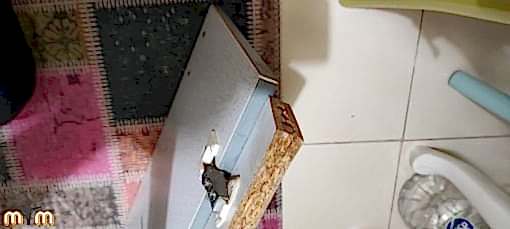 Büyükçekmece Ahmediye Mahallesi Mobilya Tamir Servis Mobilya tamir servisi olarak Ahmediye mahallesi mobilya tamiri konusunda hizmet veriyoruz. Mobilyalar yapısı gereği ahşaptan imal olması nedeniyle kolay hasar alabiliyor. Evden eve taşıma hizmeti veren bazı firmalar işlerini gelişi güzel yaptıklarından dolayı geride bir çok sorunlar bırakabiliyorlar. Mobilya tamir işlemi işinde deneyimli ve tecrübeli teknisyenler tarafından dikkatlice yapılmalıdır. İşinde deneyimli