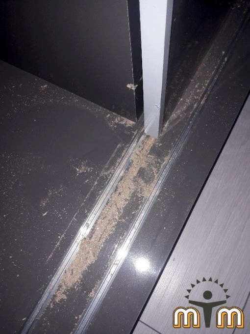 Esenyurt Mevlana Mahallesi Mobilya Tamir Servis Mobilya tamir servisi olarak Mevlana mahallesi mobilya tamiri konusunda hizmet veriyoruz. Mobilyalar yapısı gereği ahşaptan imal olması nedeniyle kolay hasar alabiliyor. Evden eve taşıma hizmeti veren bazı firmalar işlerini gelişi güzel yaptıklarından dolayı geride bir çok sorunlar bırakabiliyorlar. Mobilya tamir işlemi işinde deneyimli ve tecrübeli teknisyenler tarafından dikkatlice yapılmalıdır. İşinde deneyimli olmayan kişiler tarafından yapılan mobilya tamir işlemleri geri dönüşü olmayan hasarlara sebebiyet verebilmektedirler. Mobilyalarınızın